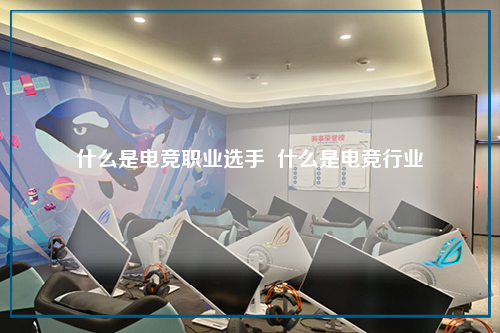 什么是电竞职业选手  什么是电竞行业
